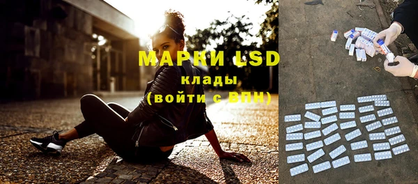 индика Абинск