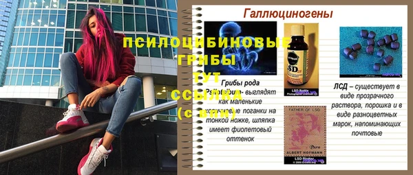 гашиш Абаза