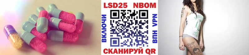 нарко площадка состав Горбатов Лсд 25 экстази ecstasy хочу