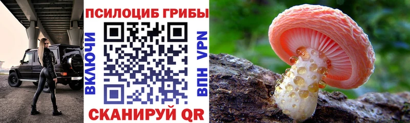 Галлюциногенные грибы MAGIC MUSHROOMS  ссылка на мегу ТОР  Горбатов 
