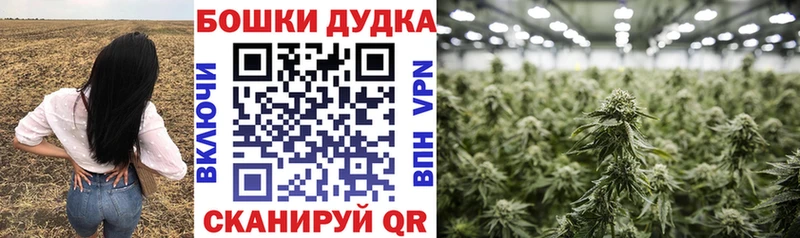 Бошки Шишки SATIVA & INDICA  Горбатов 